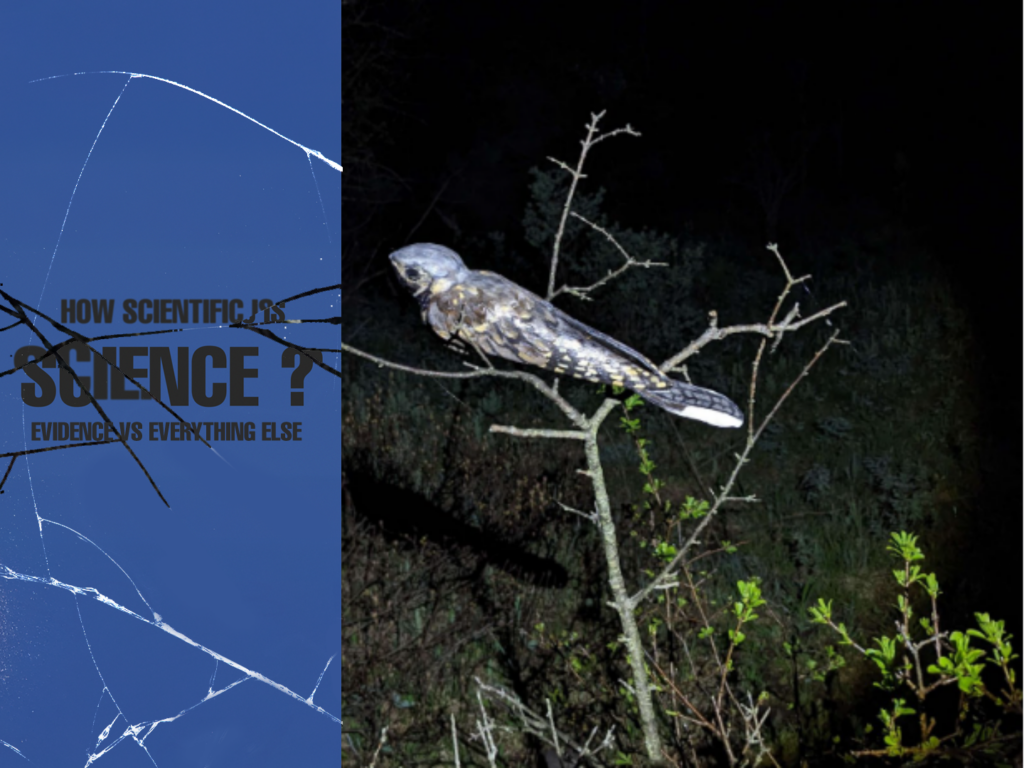 The Speculative Bridge: Spanning Art and Science