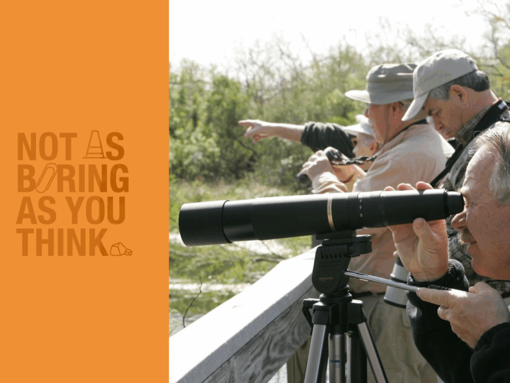 PARTICLE 101: BIRDWATCHING