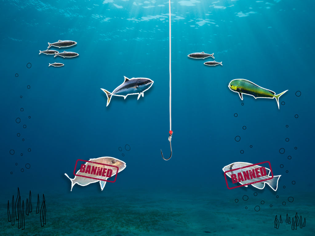 Why WA hit pause on demersal fishing