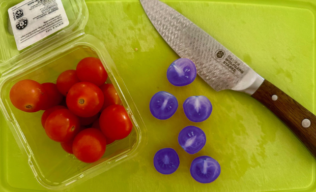 PARTICLE 101: GENETICALLY MODIFIED FOOD