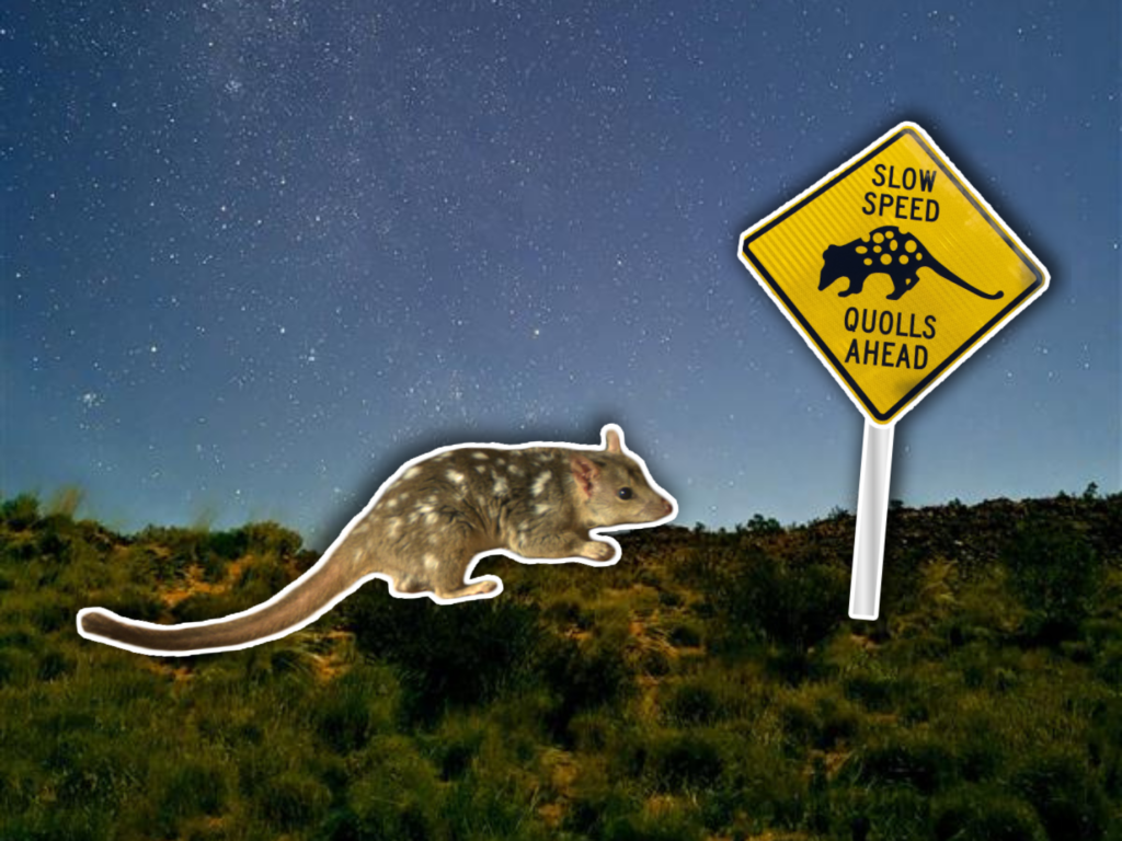 WIMINYJI: LESSONS IN COLLABORATION