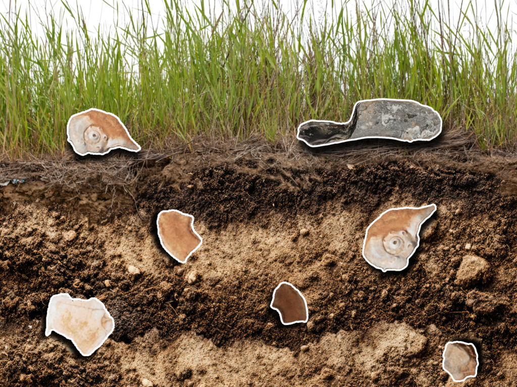 The Earth is Rearranging History