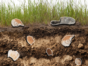 The Earth is Rearranging History