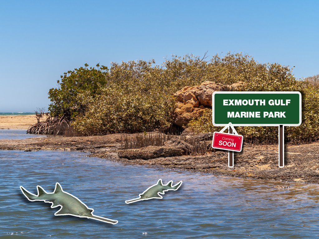 Coming Soon: Exmouth Gulf Marine Park