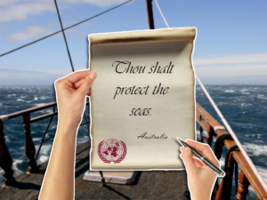 Particle 101: High Seas Treaty