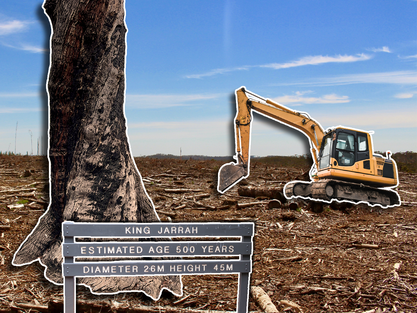 Can jarrah forests be recovered after bauxite mining?