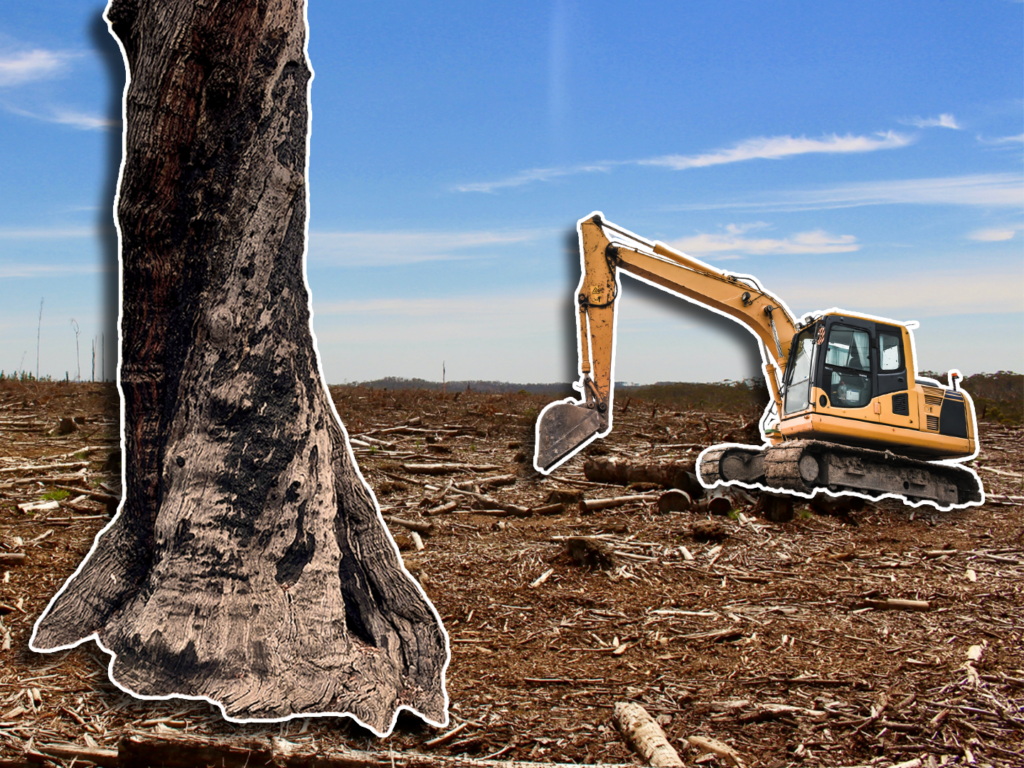 Can jarrah forests be recovered after bauxite mining?