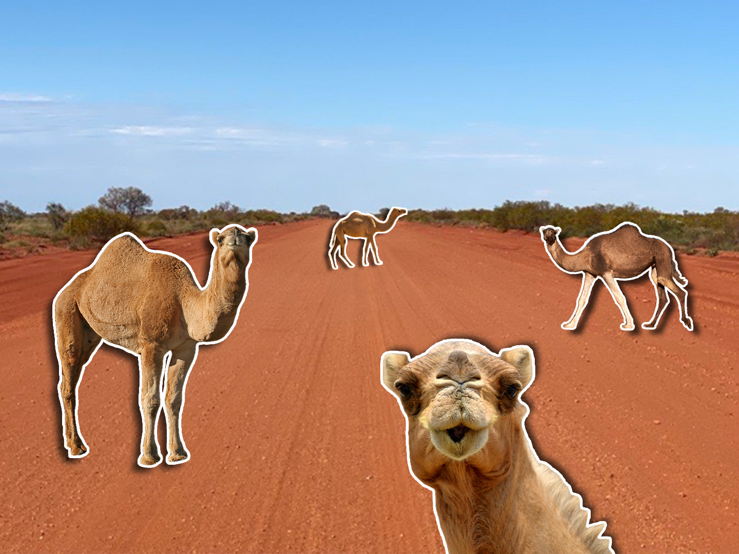 WA IS BEING DESERTED