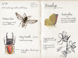 PARTICLE 101: NATURE JOURNALLING